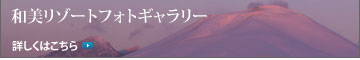 和美リゾートフォトギャラリー詳しくはこちら